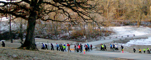 photo of pack crossing road