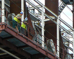 Photo of workers watching Cancer Action race.