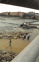 photo from the Shamrock Shuffle