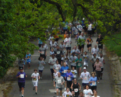 Photo from the Heart and Sole Run in Olathe.