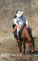 The usual horses that make the water crossing.