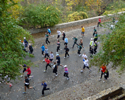 Photo from the water fall along Cliff Drive at the Cliff Hanger Run.