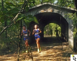 Link to slideshow of the 2011 Bob Timmons Cross Country Classic at Rim Rock Farm.