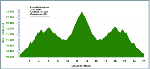 Profile of the marathon course.