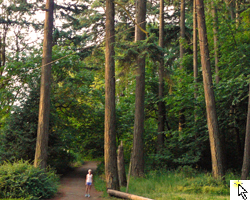 Photo of Dee Boeck at Hendricks Park in Eugene, OR.