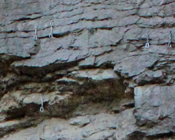 Pitons in the cliff above the runners on Cliff Drive.