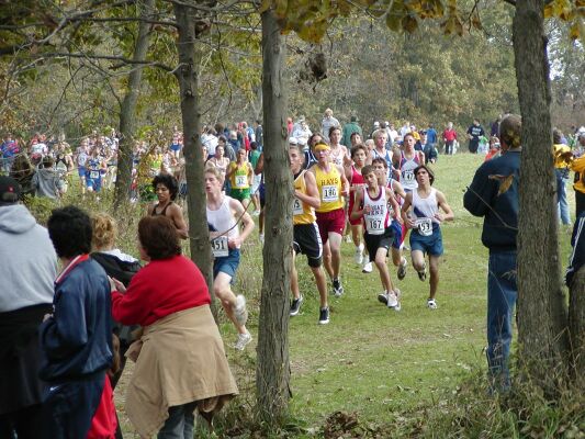 Boy 5A cross country state champs at Rim Rock